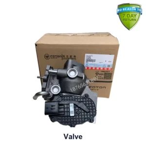 Valve for FOTON Auman Aoling