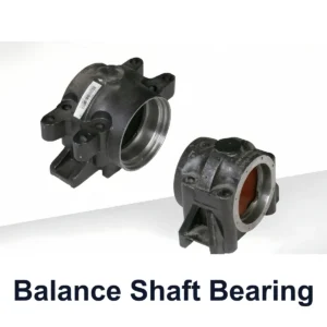 Balance Shaft Bearing for SHACMAN Delong X3000